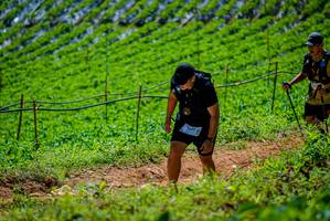 BIB: 
                            <button type="button" onclick="openModal(19164349)" class="btn btn-primary btn-sm float-right btn-popup" data-toggle="modal" data-target=".modal-high-quality">
                        <i class="fas fa-shopping-cart"></i> Add to Cart
                    </button>
                                            <button type="button" onclick="isThisMe(19164349, true)" class="btn btn-success btn-sm float-right btn-popup btn-isme hidden" data-toggle="tooltip" data-placement="bottom" title="นี่คือรูปของคุณใช่ไหม คลิกที่นี่เพื่อเอาเข้าอัลบั้ม">
                        <i class="fas fa-plus"></i> Add to album
                    </button>
                    <button type="button" onclick="isThisMe(19164349, false)" class="btn btn-warning btn-sm float-right btn-popup btn-isnotme hidden">
                        <i class="fas fa-ban"></i> Remove from album
                    </button>